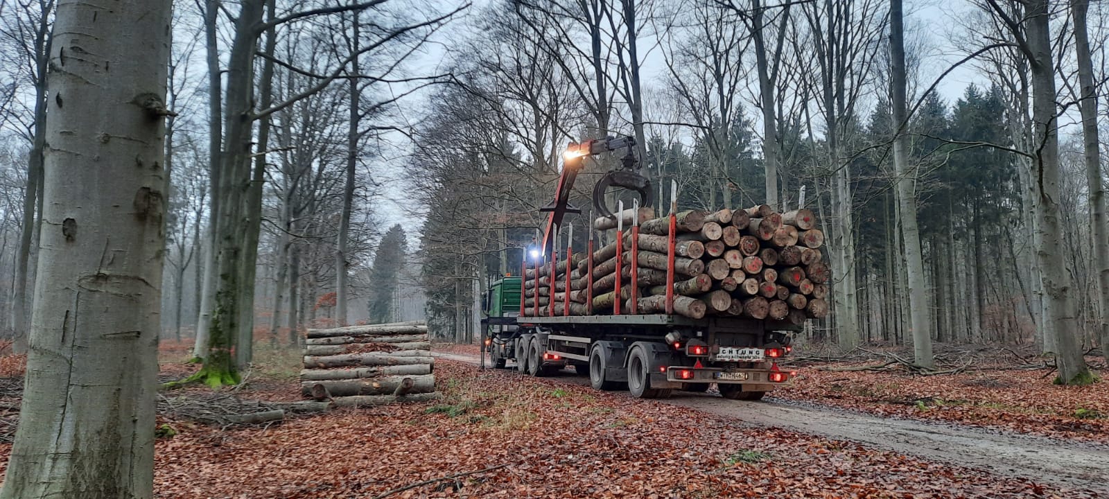 LKW im Wald