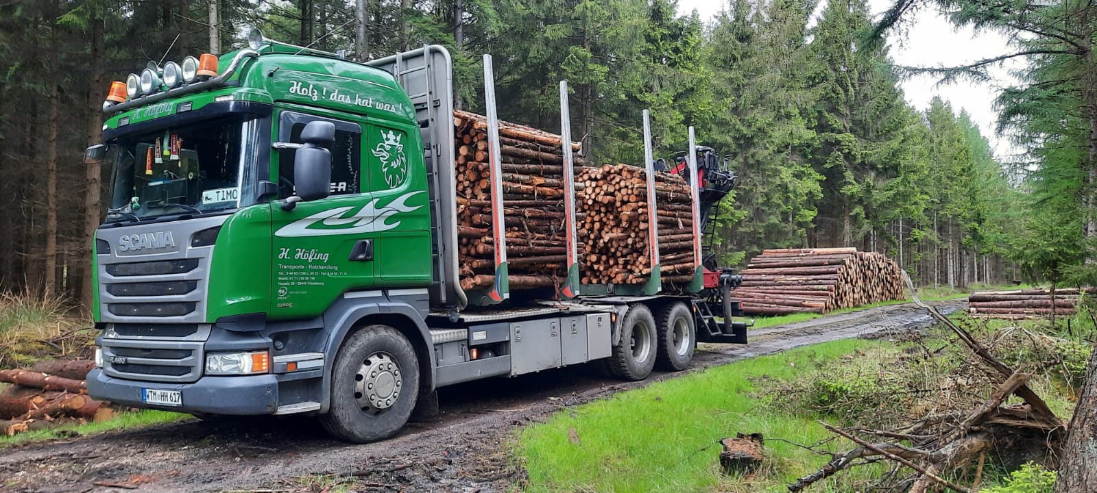 LKW im Wald